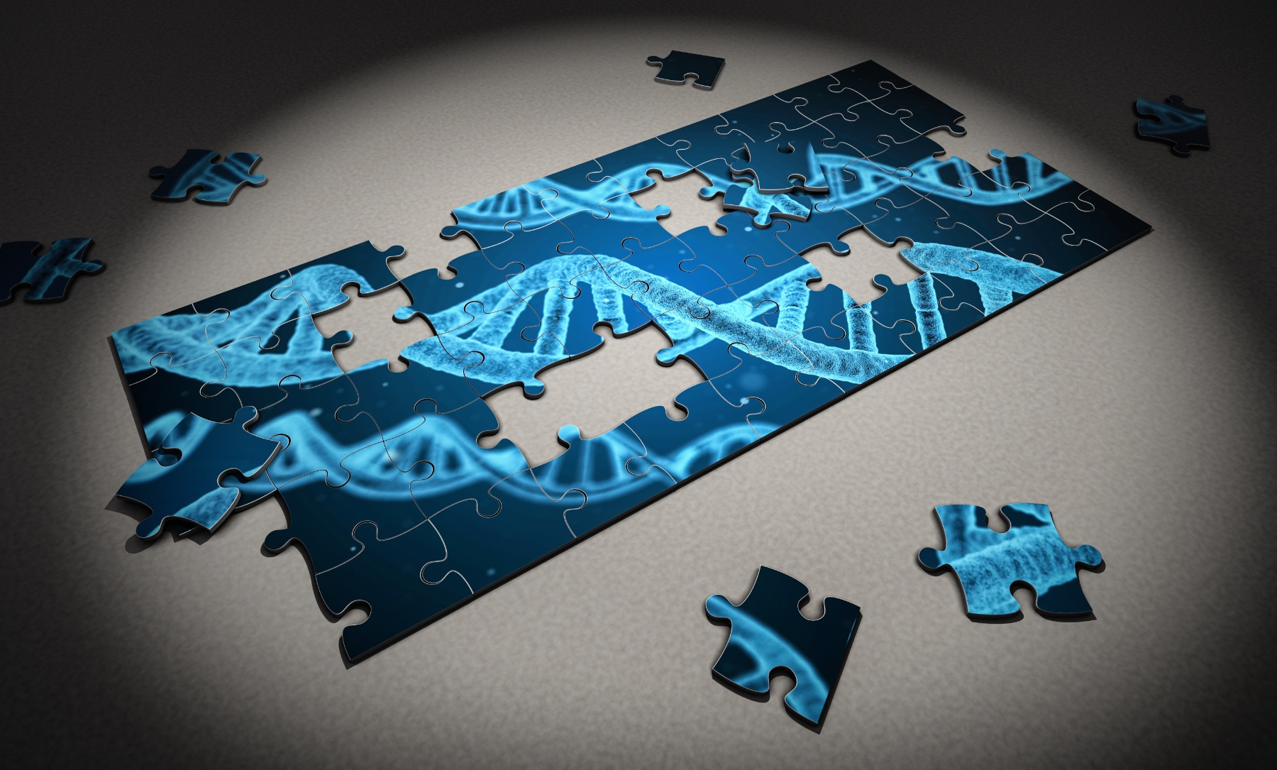 Sperm DNA Fragmentation: Understanding Its Role in Male Fertility