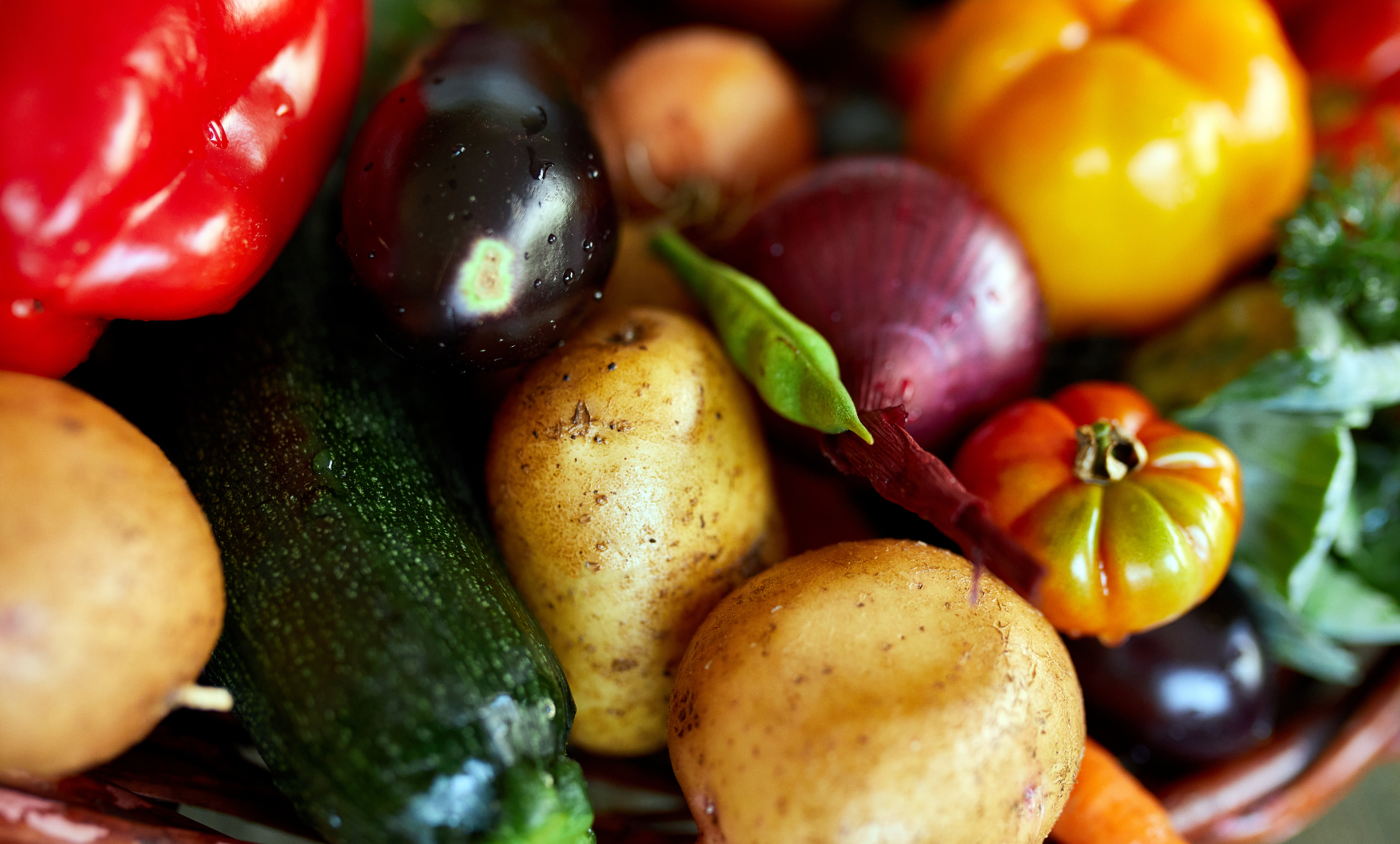 Harnessing Nutrition: How Diet Supports Assisted Reproductive Technologies (ART)