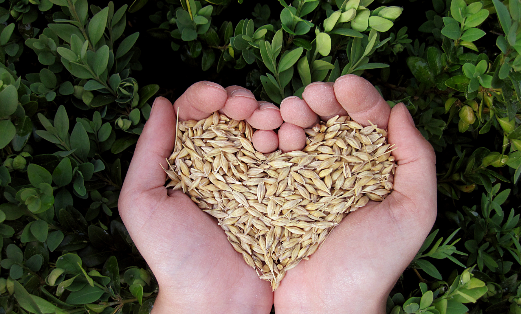 Nourishing Recovery: Understanding the Importance of Nutrition After Miscarriage