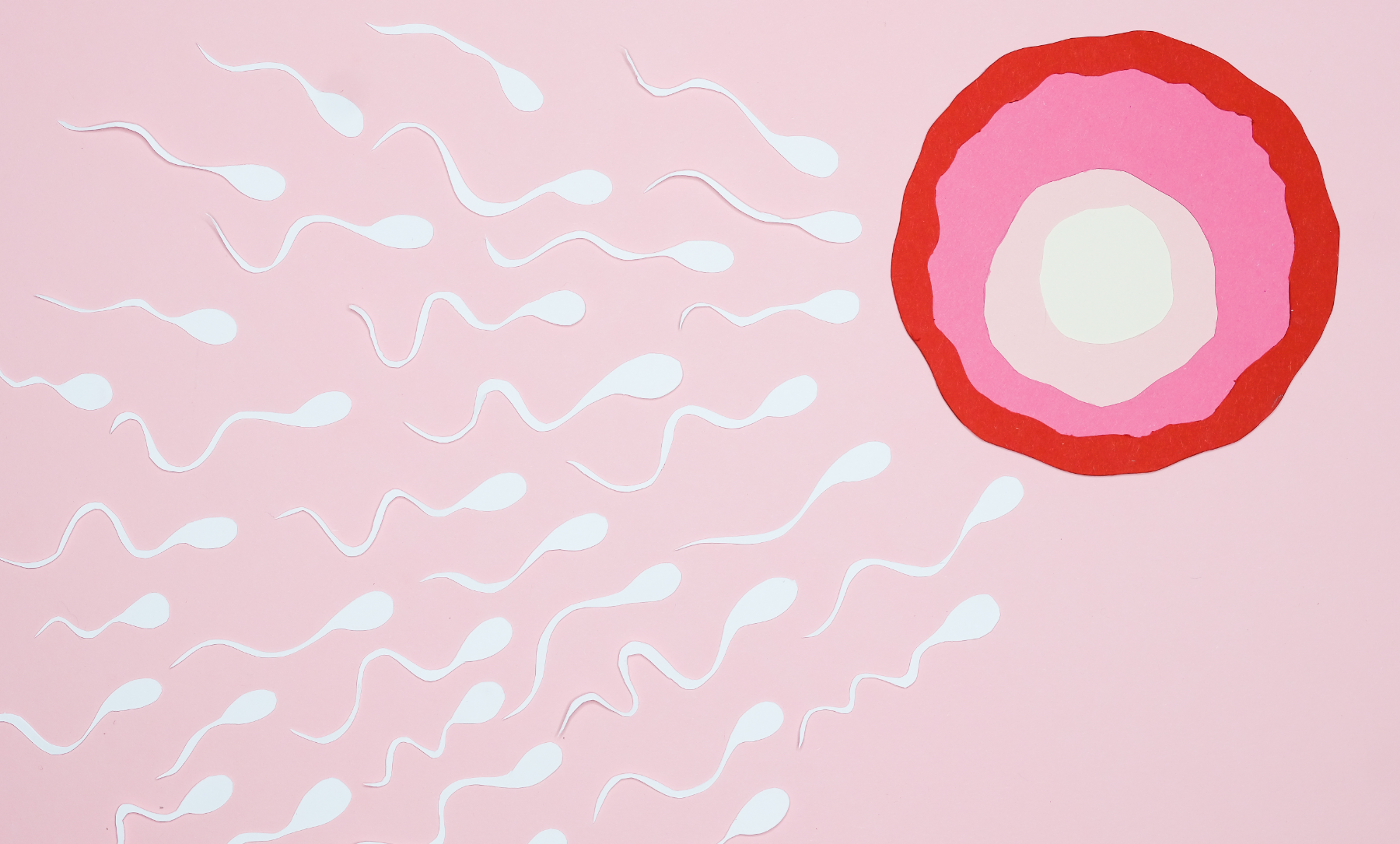 Sperm Motility: The Driving Force Behind Fertility