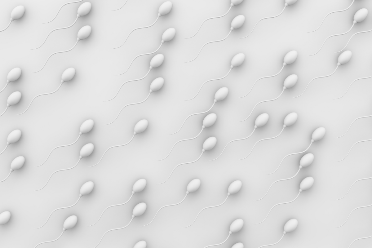 Understanding Sperm Motility