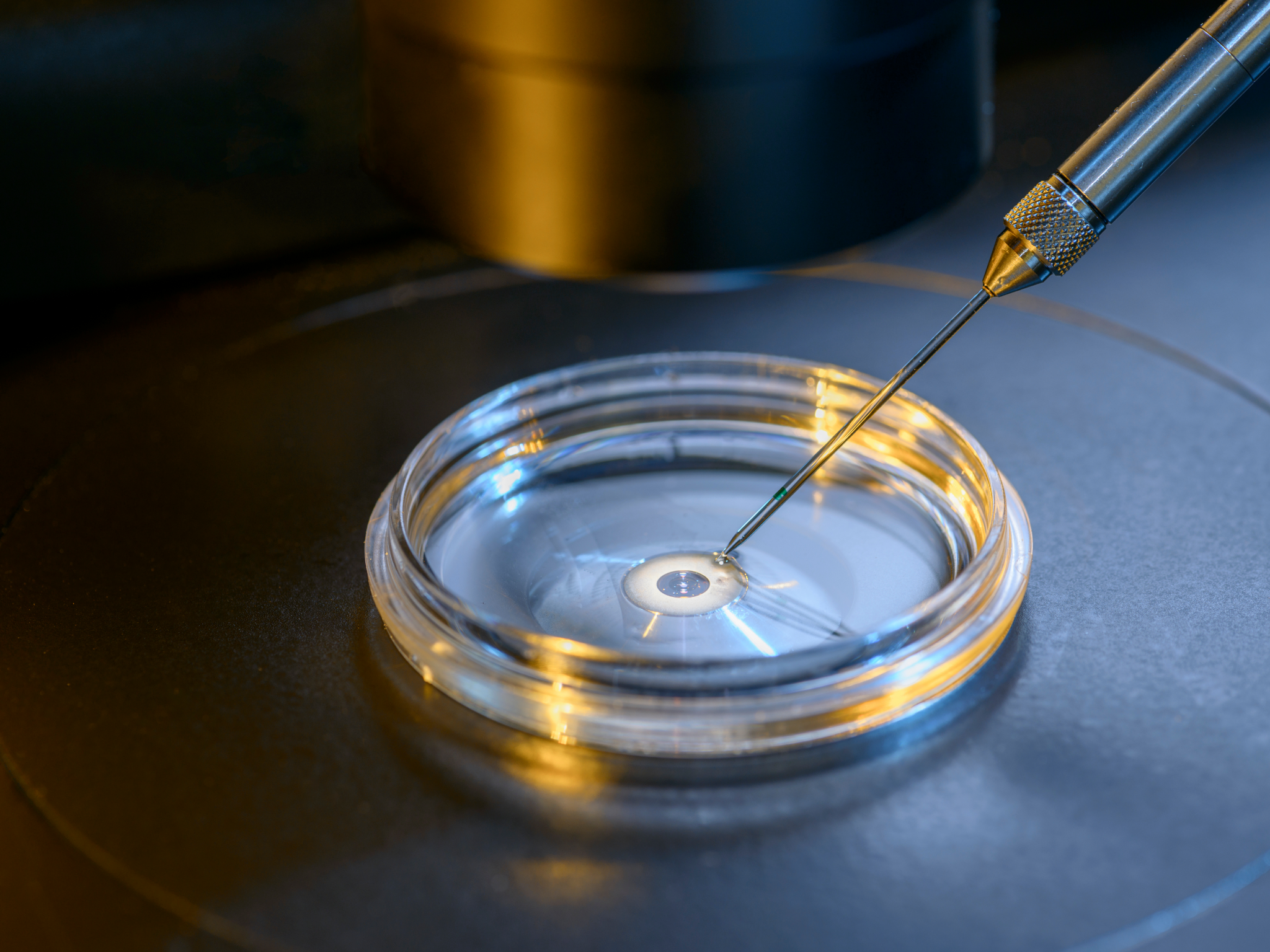 Types of Assisted Reproductive Technologies: Methods and Applications