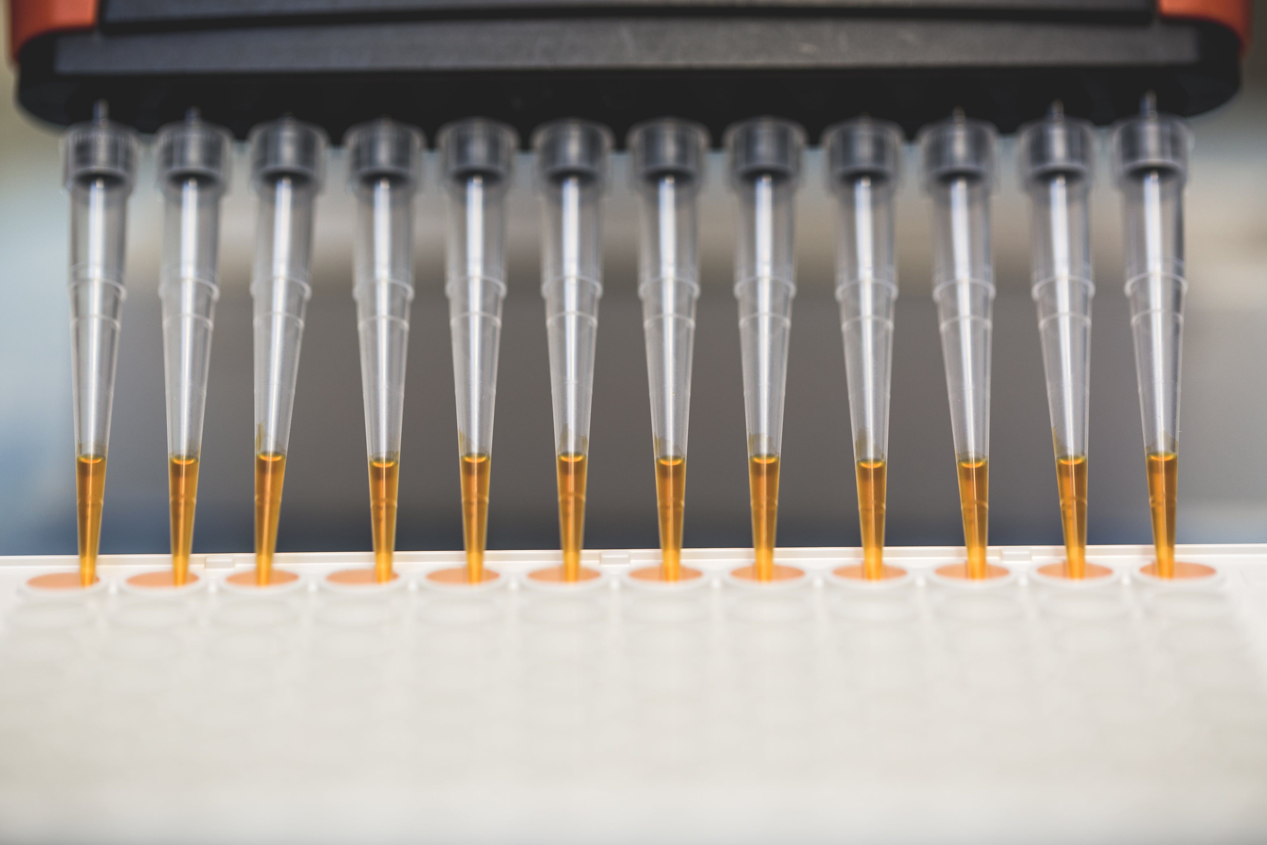 Row of science lab pipettes for research 